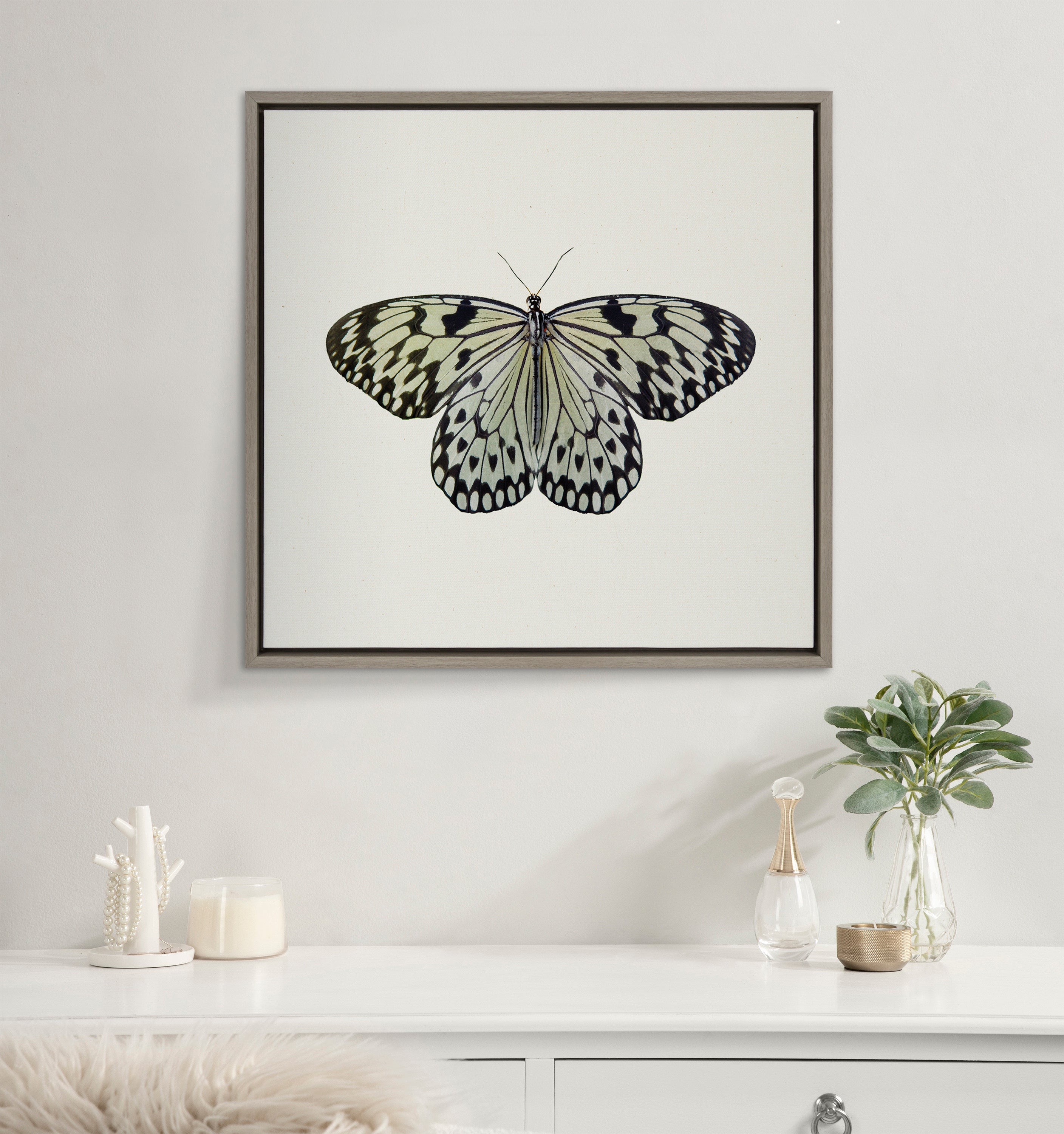 Sylvie Two Tone Butterfly Framed Canvas by Robert Cadloff of Bomobob