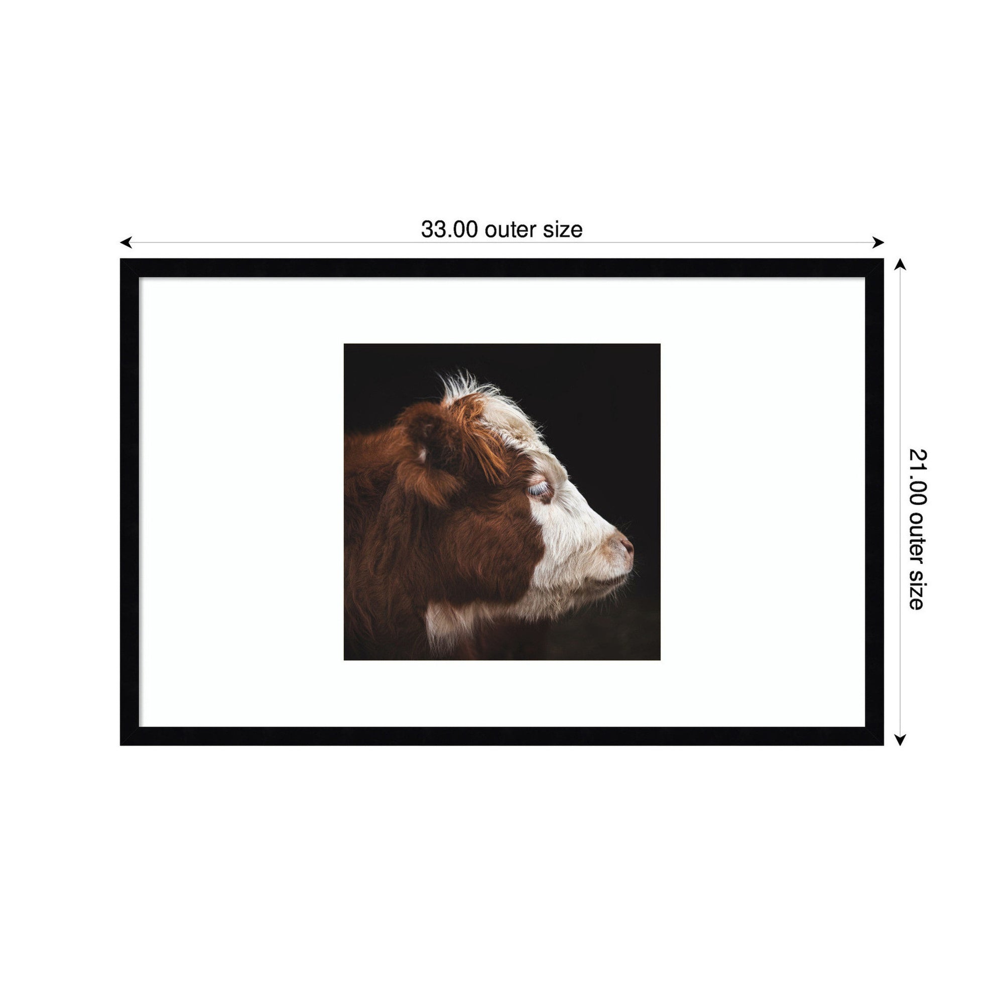 Cow Profile by Emiko and Mark Franzen F2 Images Framed Wall Art Print