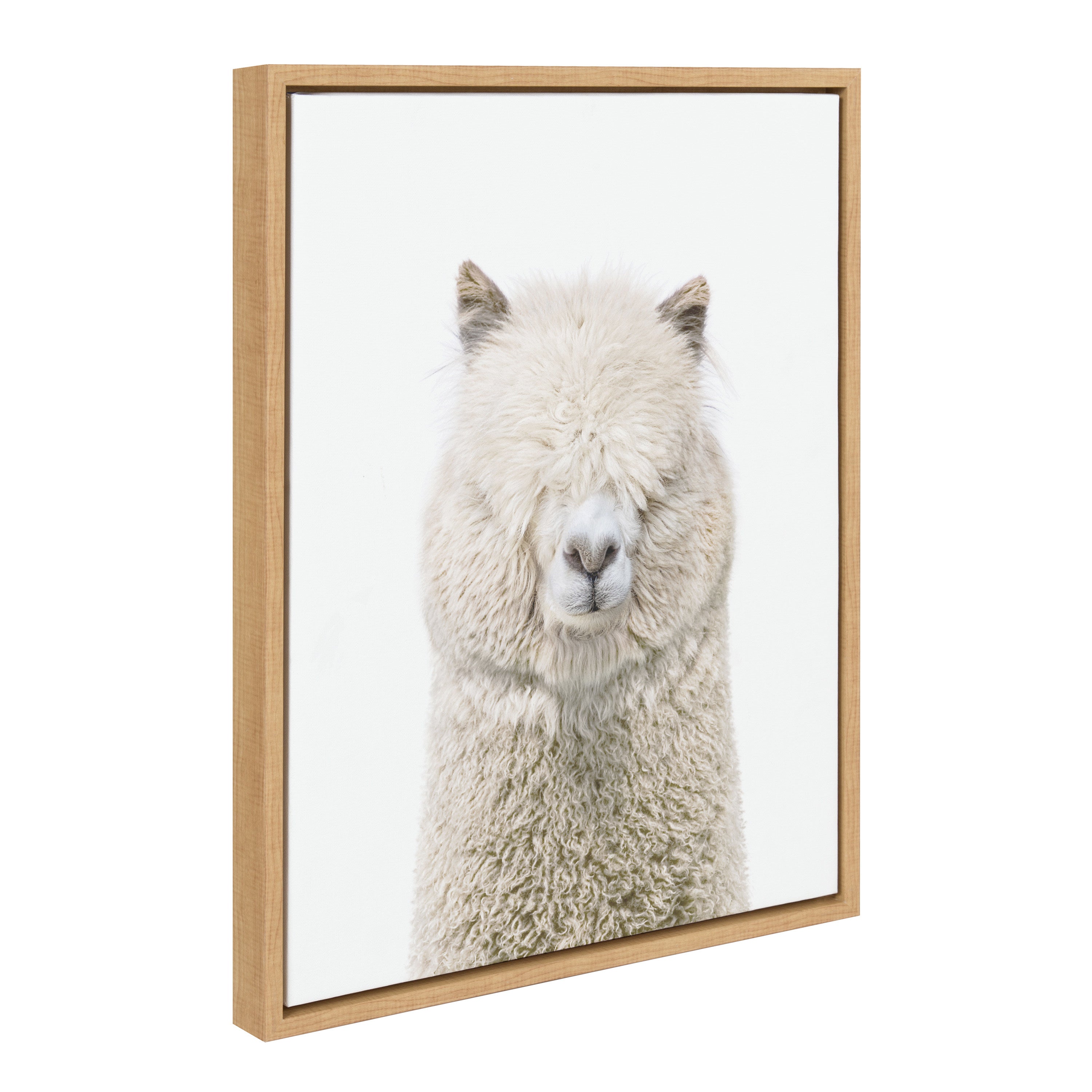 Framed Canvas Sylvie Natural 18x24 1