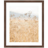 Framed Art Wild Fennel by Crystal Lynn Collins