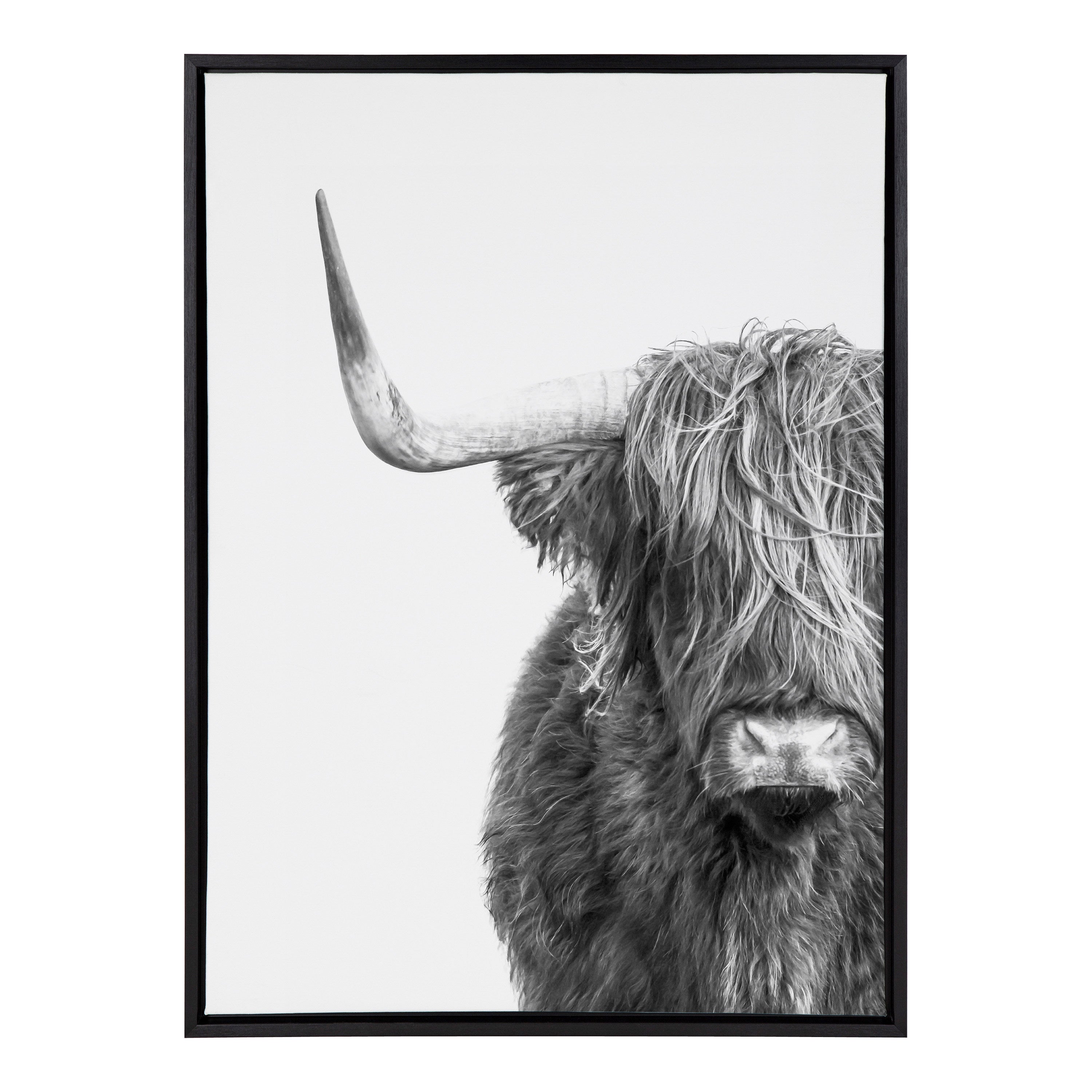 Framed Canvas Sylvie Black 28x38 2