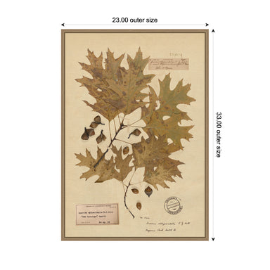 Framed Canvas 23x33 Sylvie Dark Gold 2