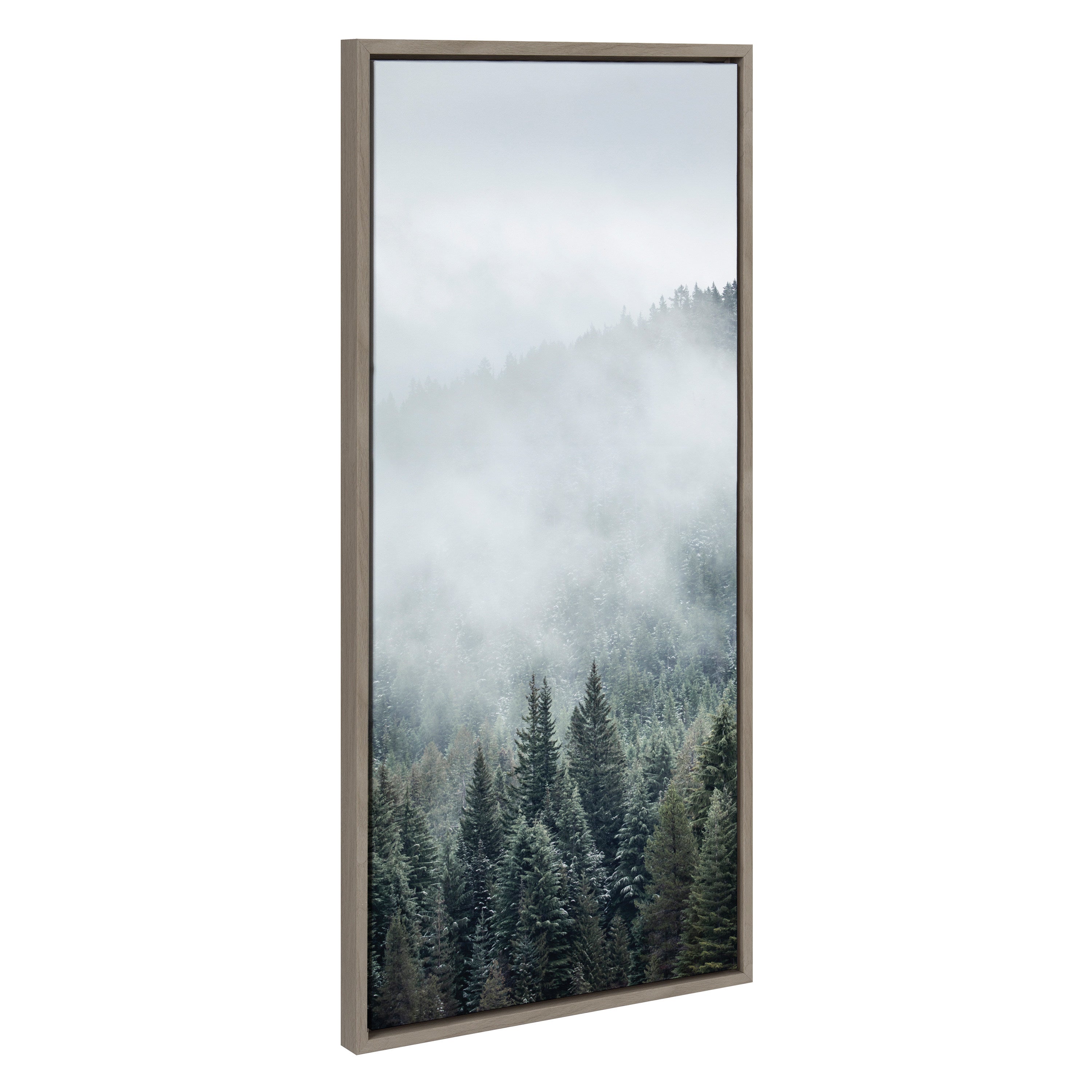 Framed Canvas 18x40 Sylvie Graywash 2