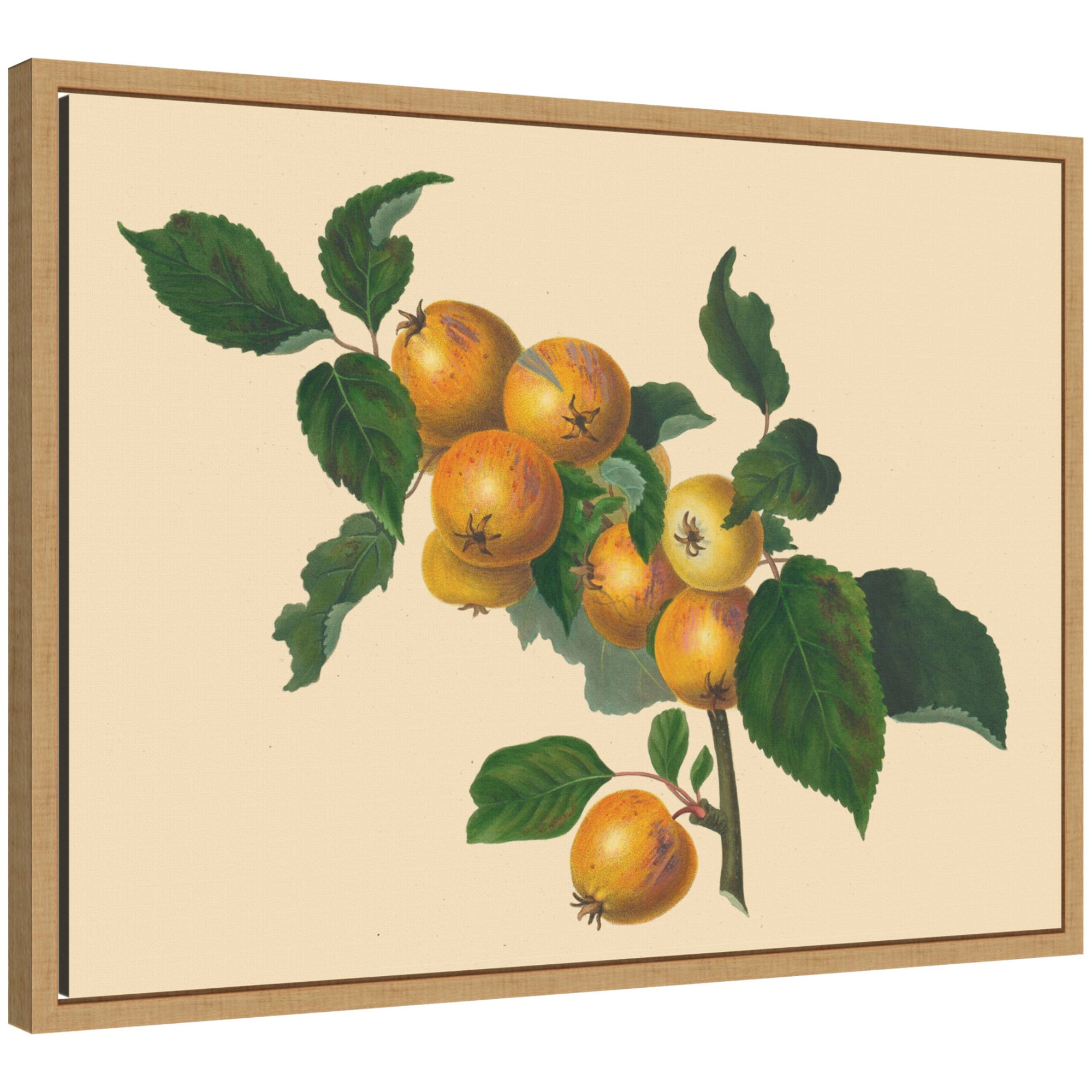 Framed Canvas 24x18 Sylvie Natural 1