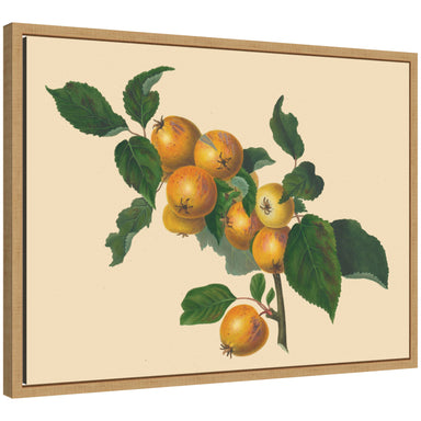 Framed Canvas 24x18 Sylvie Natural 1