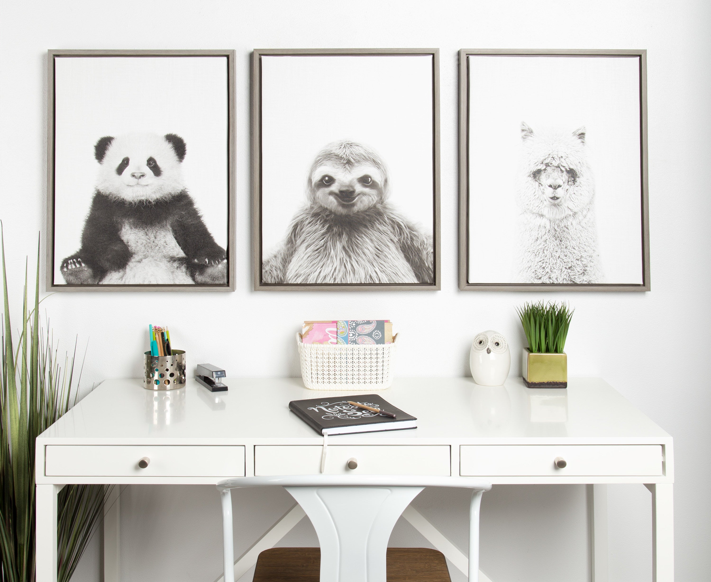 Sylvie Hairy Alpaca Framed Canvas by Simon Te of Tai Prints