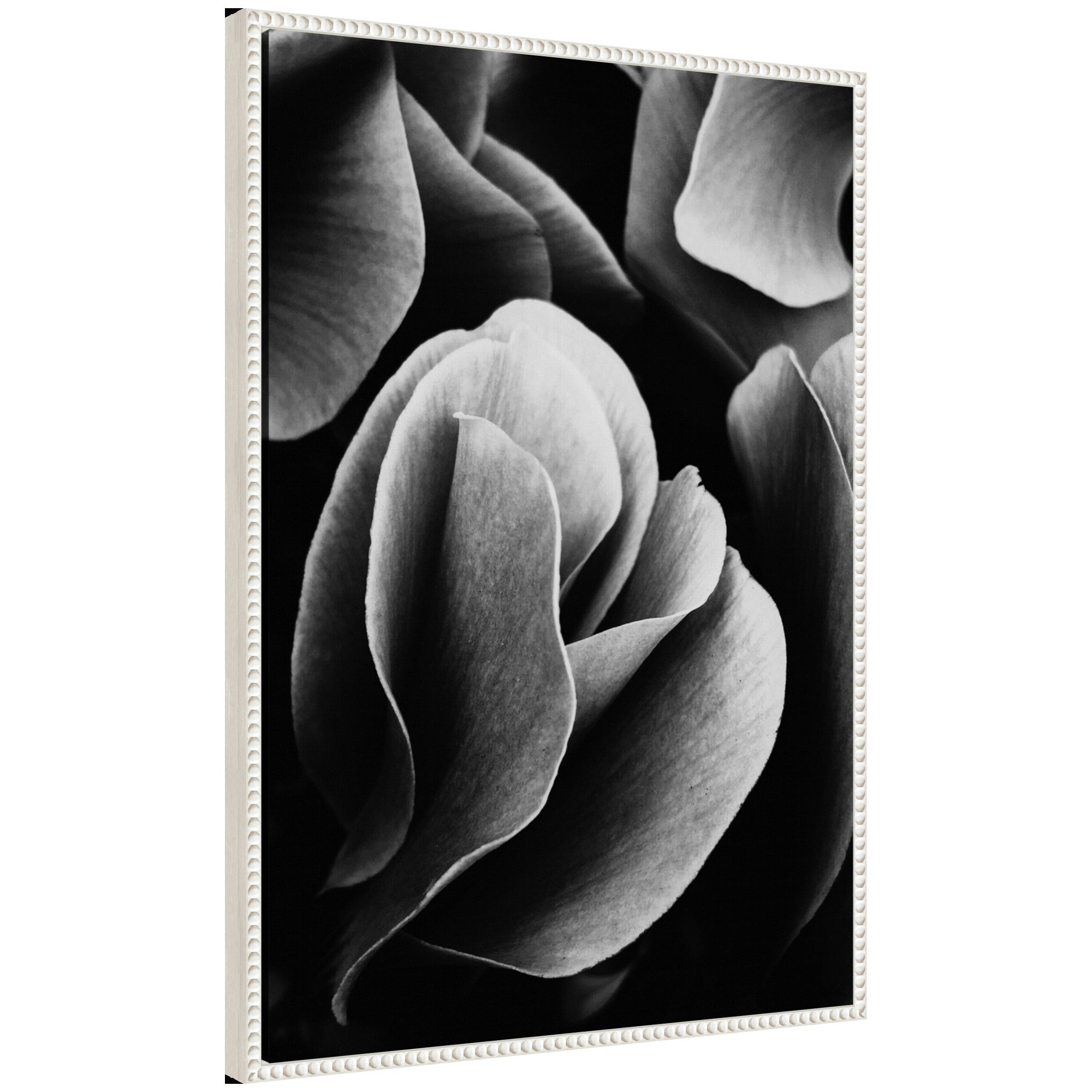 Sylvie Black and White Flower Petals Framed Canvas by Emiko and Mark Franzen of F2Images