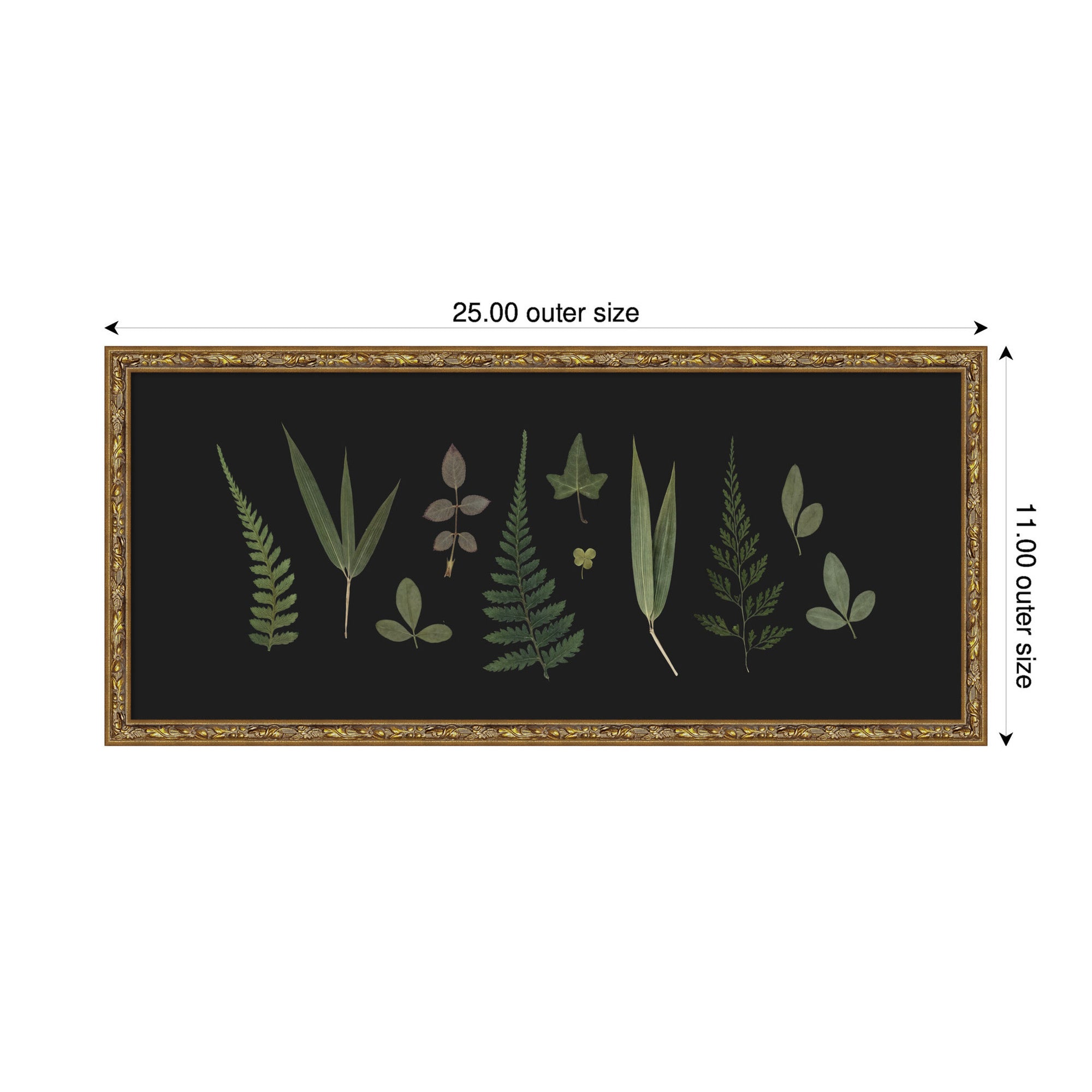 Framed Art 25x11 Belvedere Bronze 2