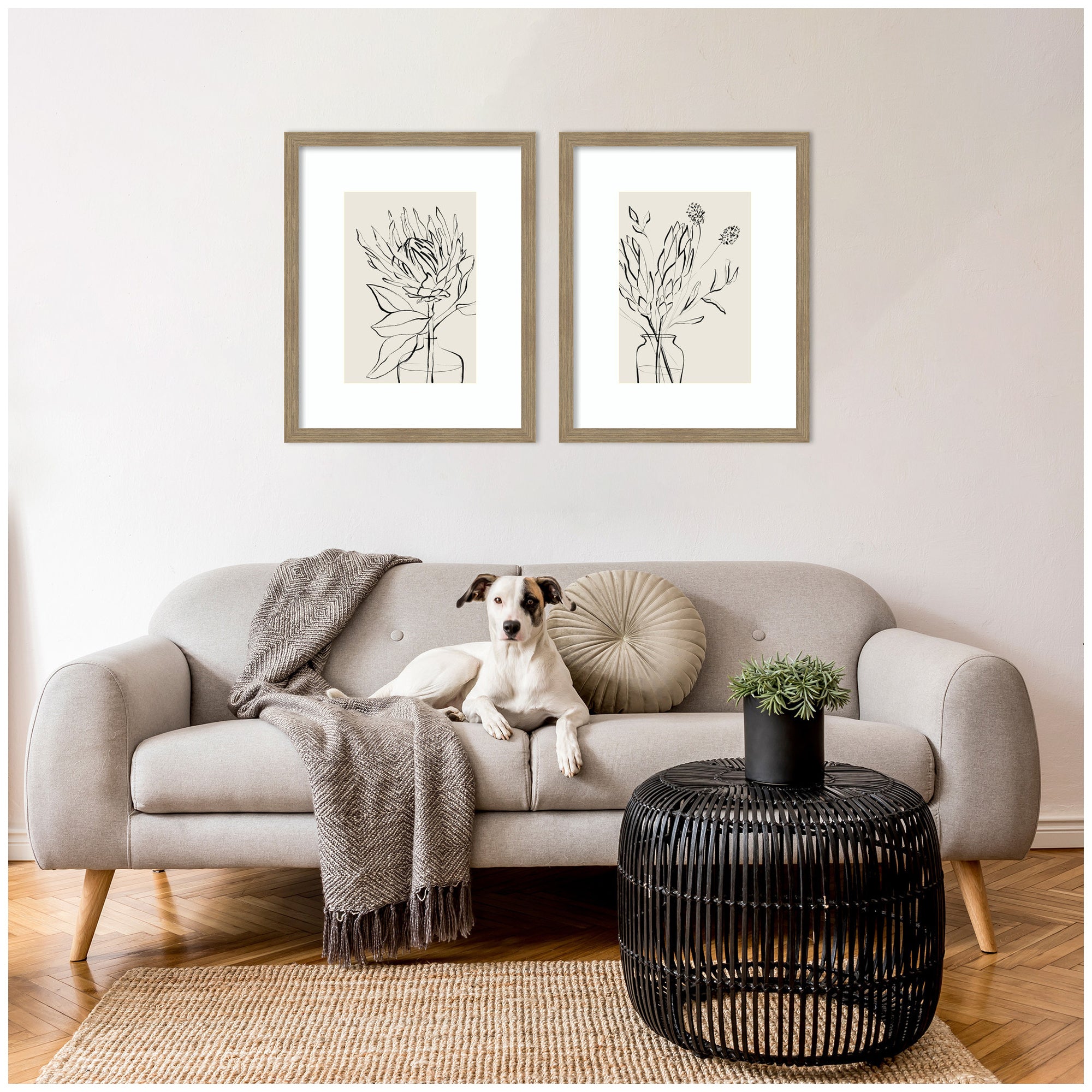 SB Protea Sketch No. 1 & No. 2 2 Piece Framed Wall Art Print Set by Sara Berrenson