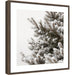 Framed Art Hardwood Wedge Mocha 33x33 1