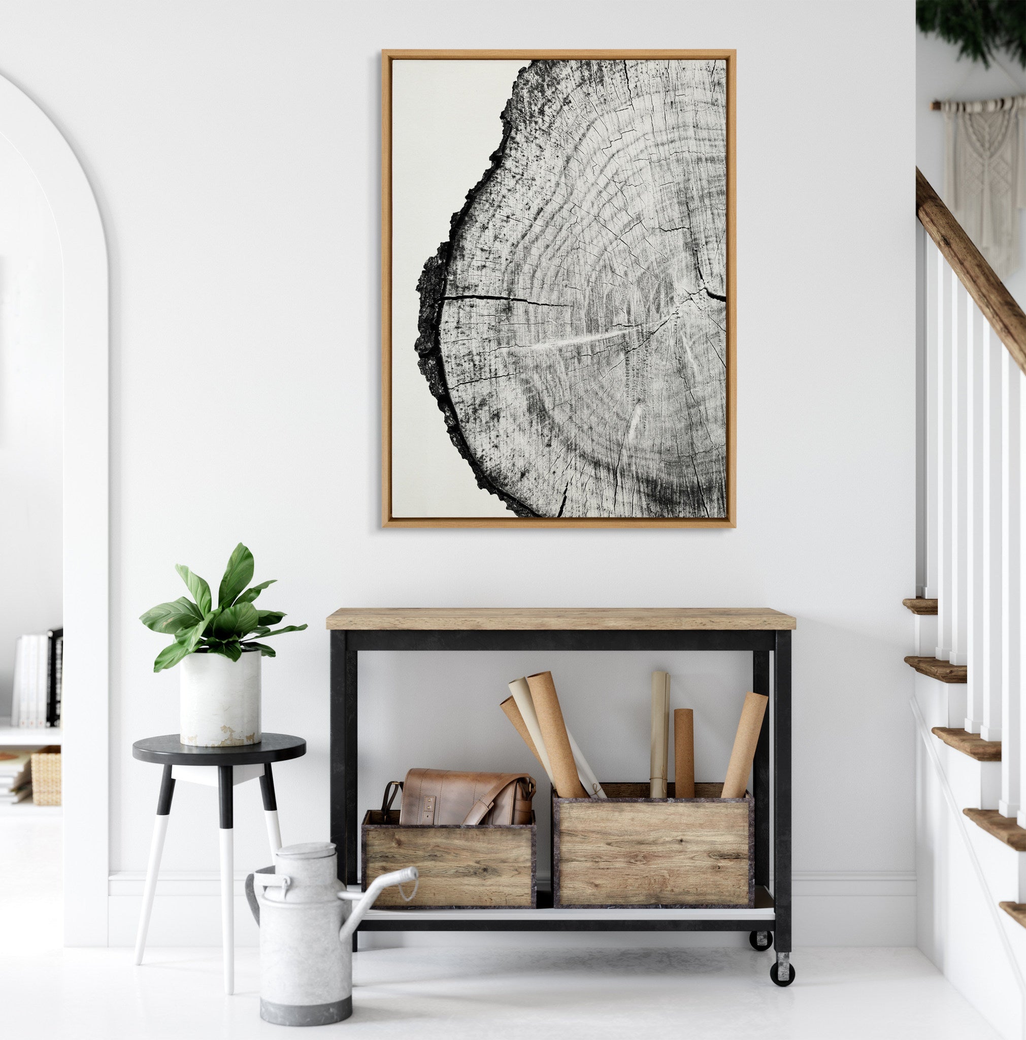Sylvie Tree Rings BW Framed Canvas by Emiko and Mark Franzen of F2Images