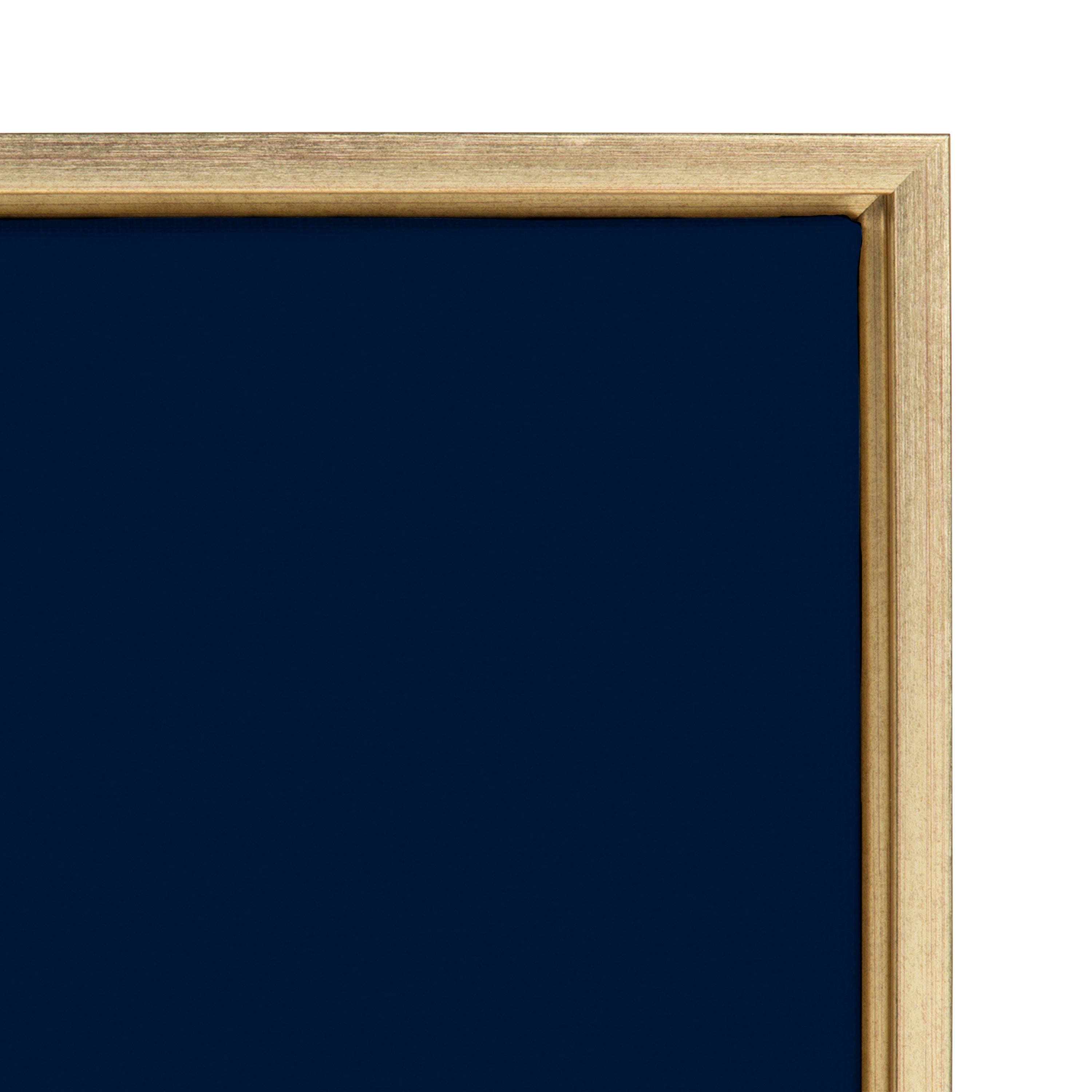 Sylvie Floralis C Framed Canvas by Mia Charro