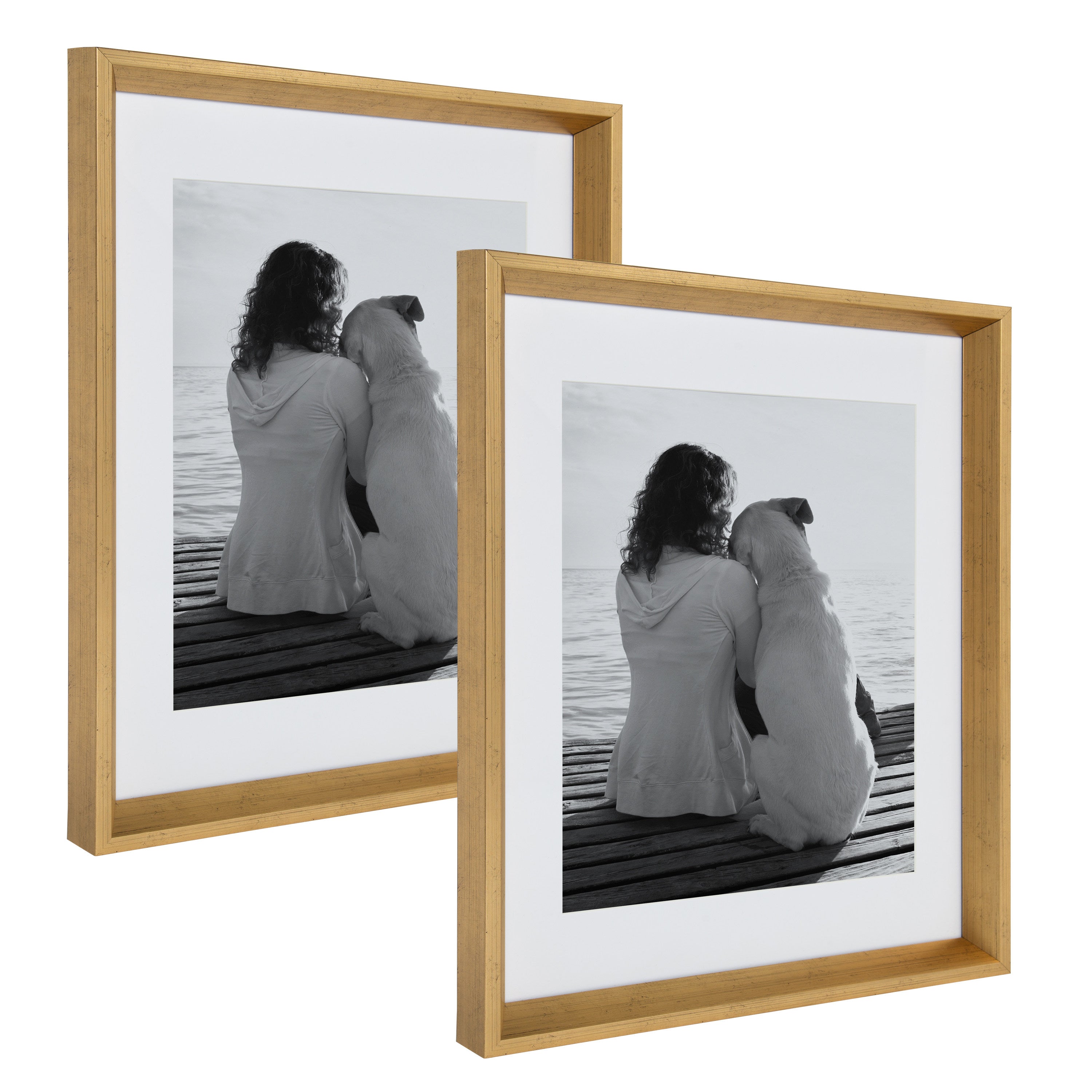 Wall Frame Gold 14x18 matted to 11x14 1
