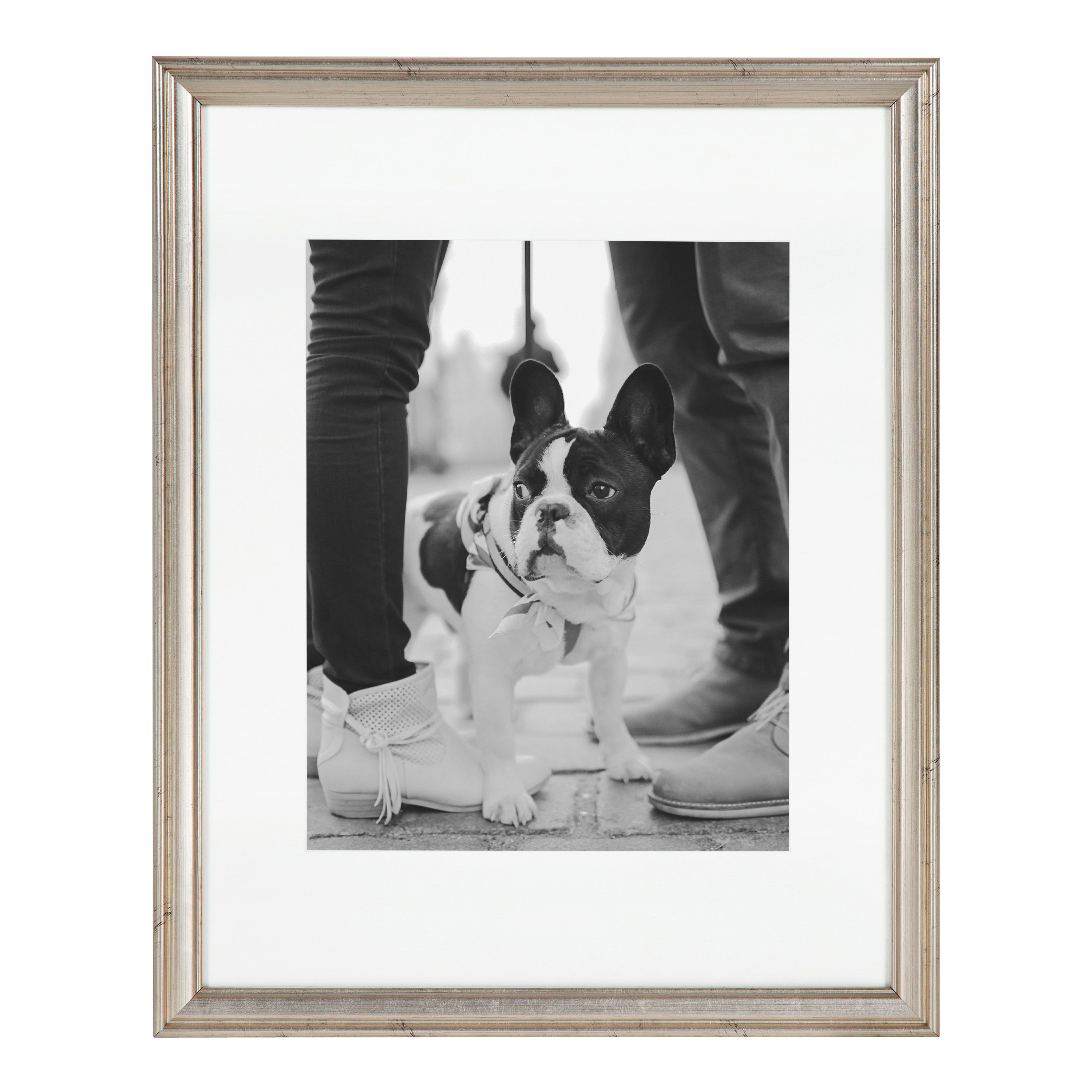 Wall Frame Silver 11x14 matted to 8x10 6