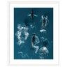 Framed Art School of Humpback Whales in the Blue Ocean by Michael Schauer