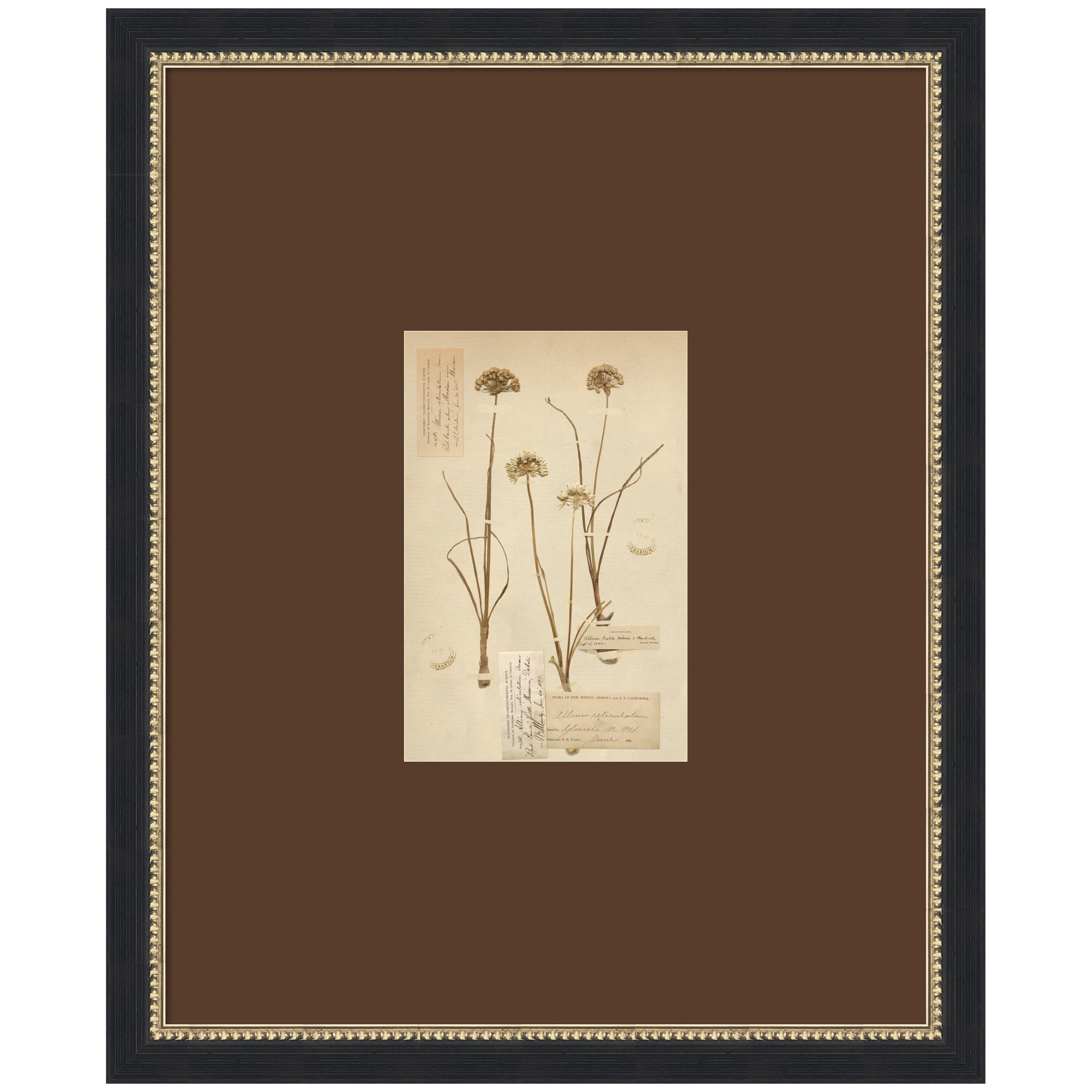 Framed Art 18x22 Belmont Black 1