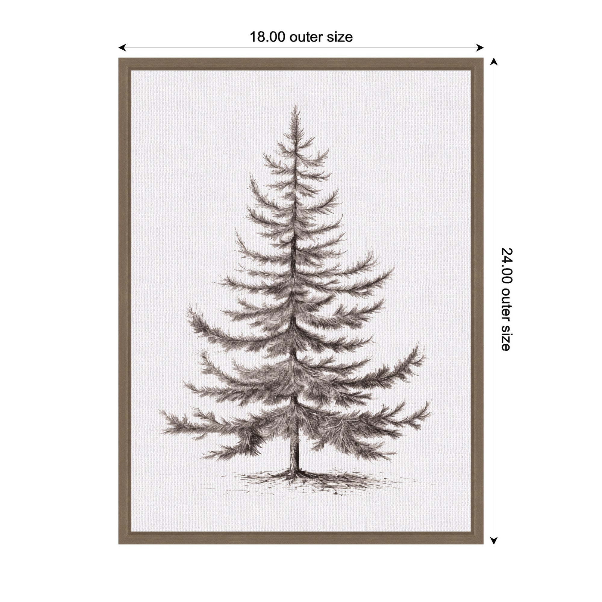 Sylvie Framed Canvas Vintage Evergreen Fir Tree lllustration II by The Creative Bunch Studio