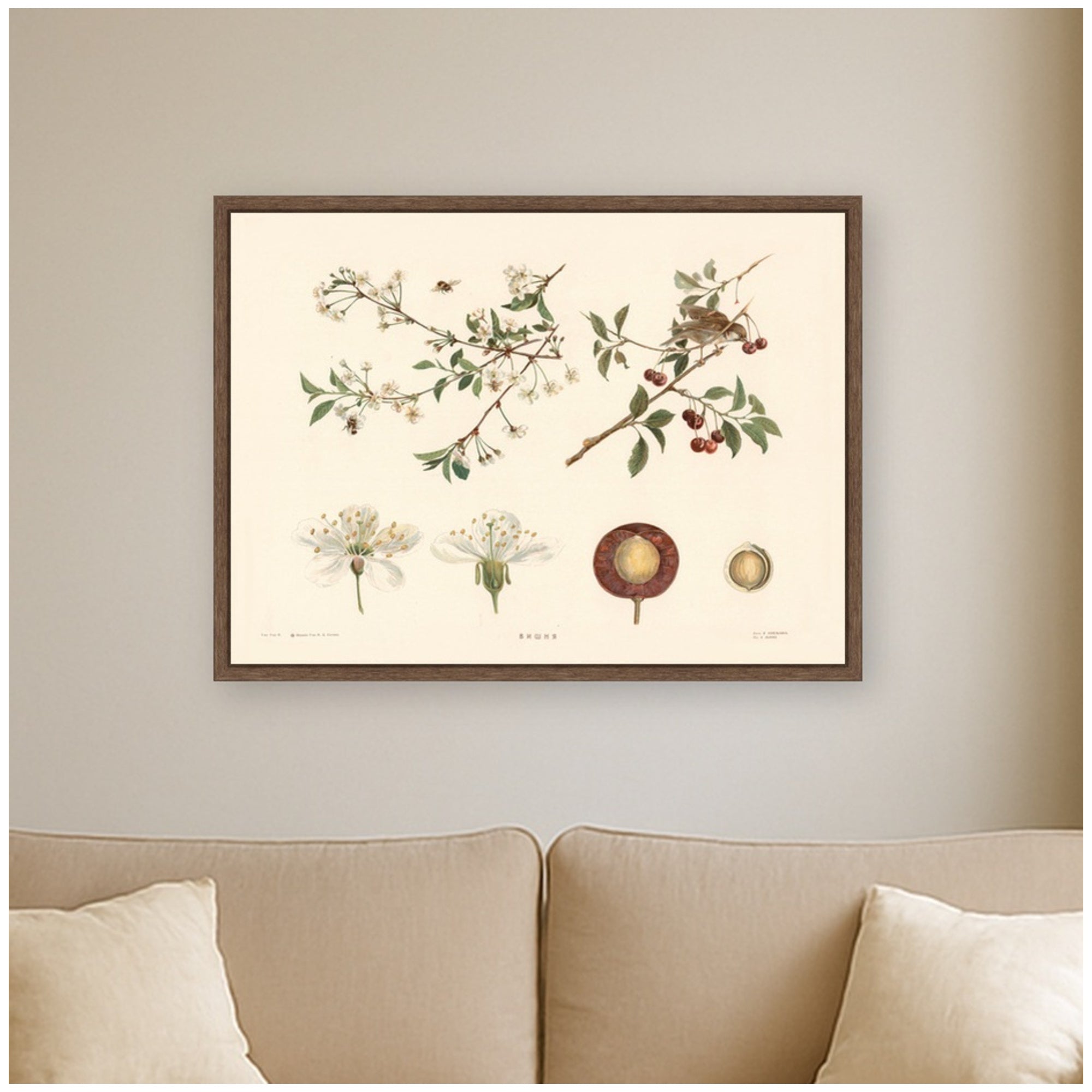 Framed Canvas 24x18 Sylvie Walnut 5