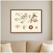 Framed Canvas 24x18 Sylvie Walnut 5