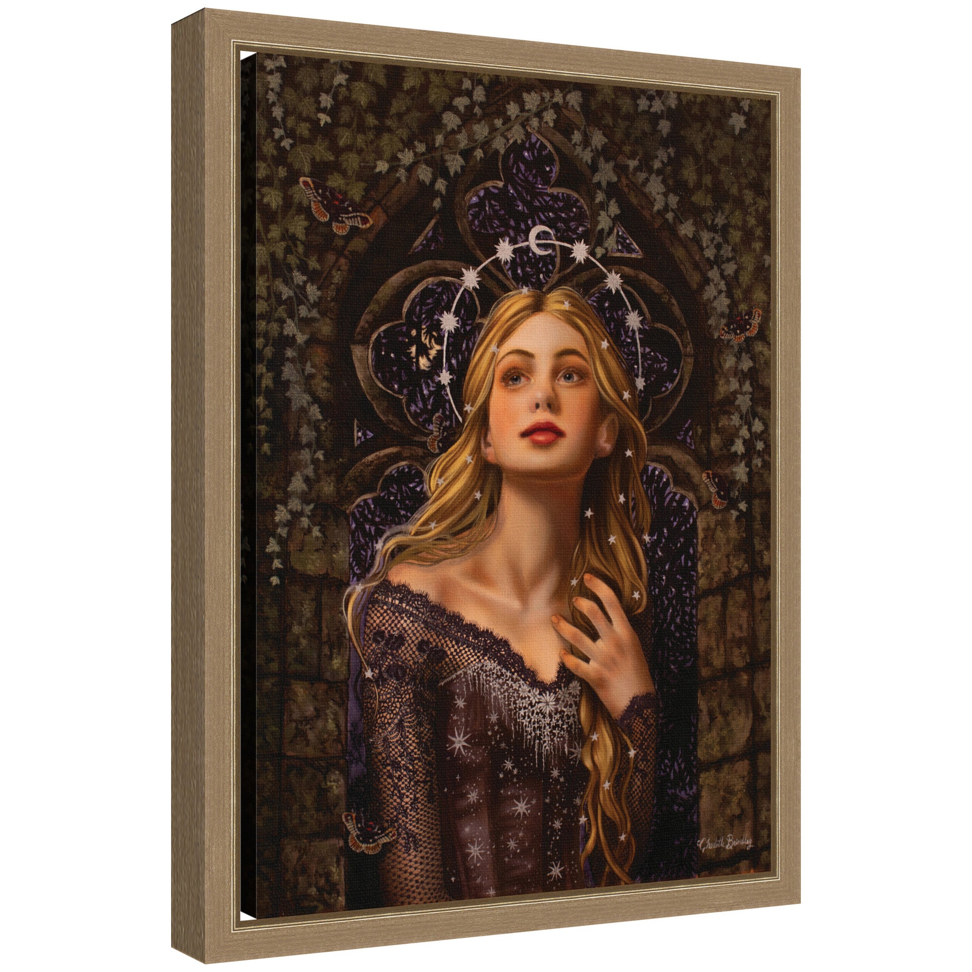 Framed Canvas 10x13 Sylvie Dark Gold 1