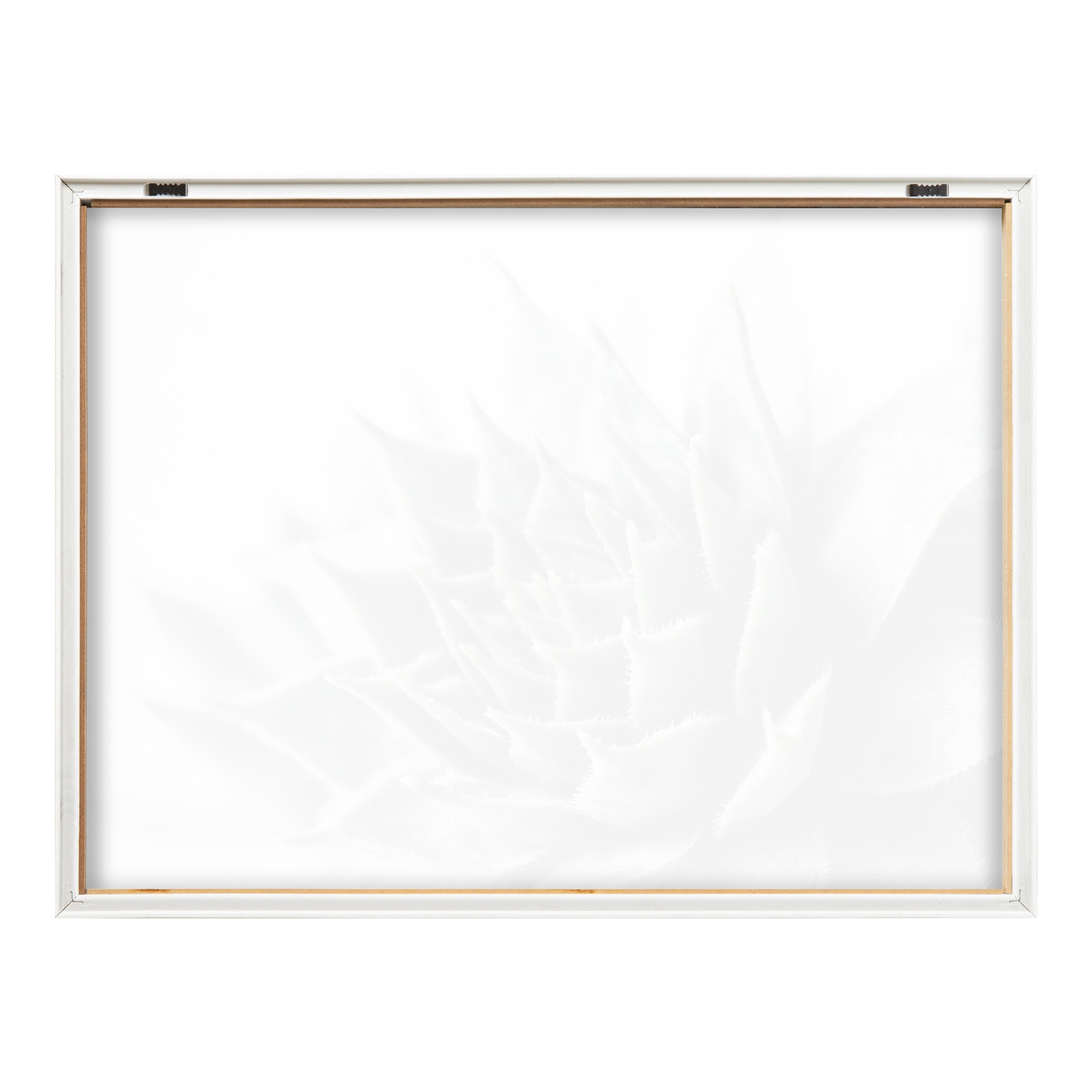 Blake Radical Succulent Framed Printed Glass by Emiko and Mark Franzen of F2Images