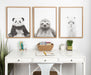 Framed Canvas 18x24 Sylvie Natural 6