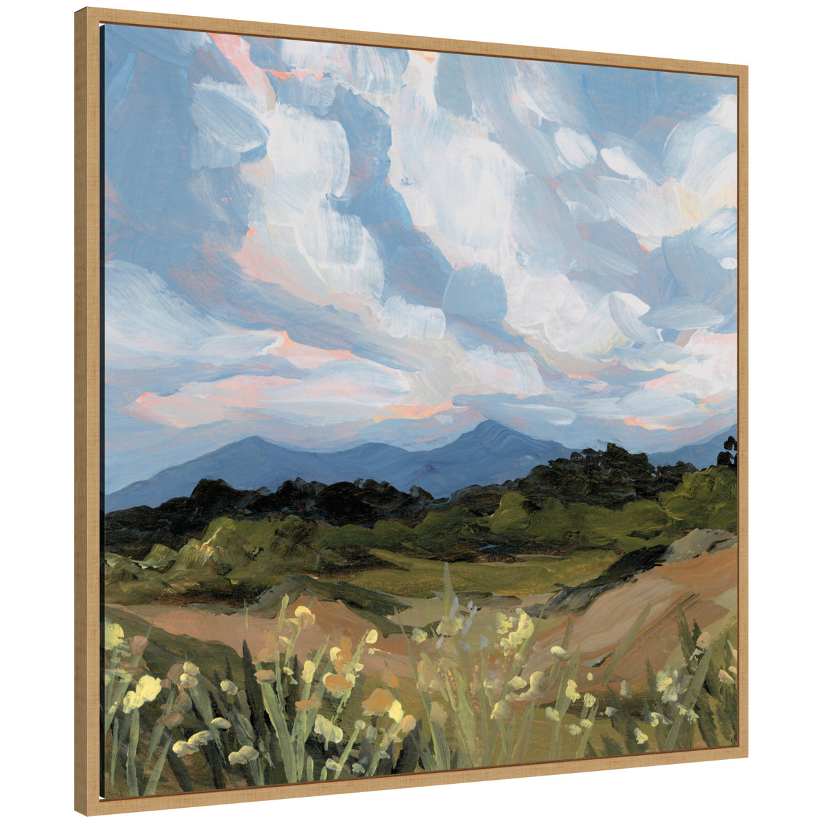 Garden of Gods by Emily Kenney Framed Canvas Wall Art Print — kateandlaurel