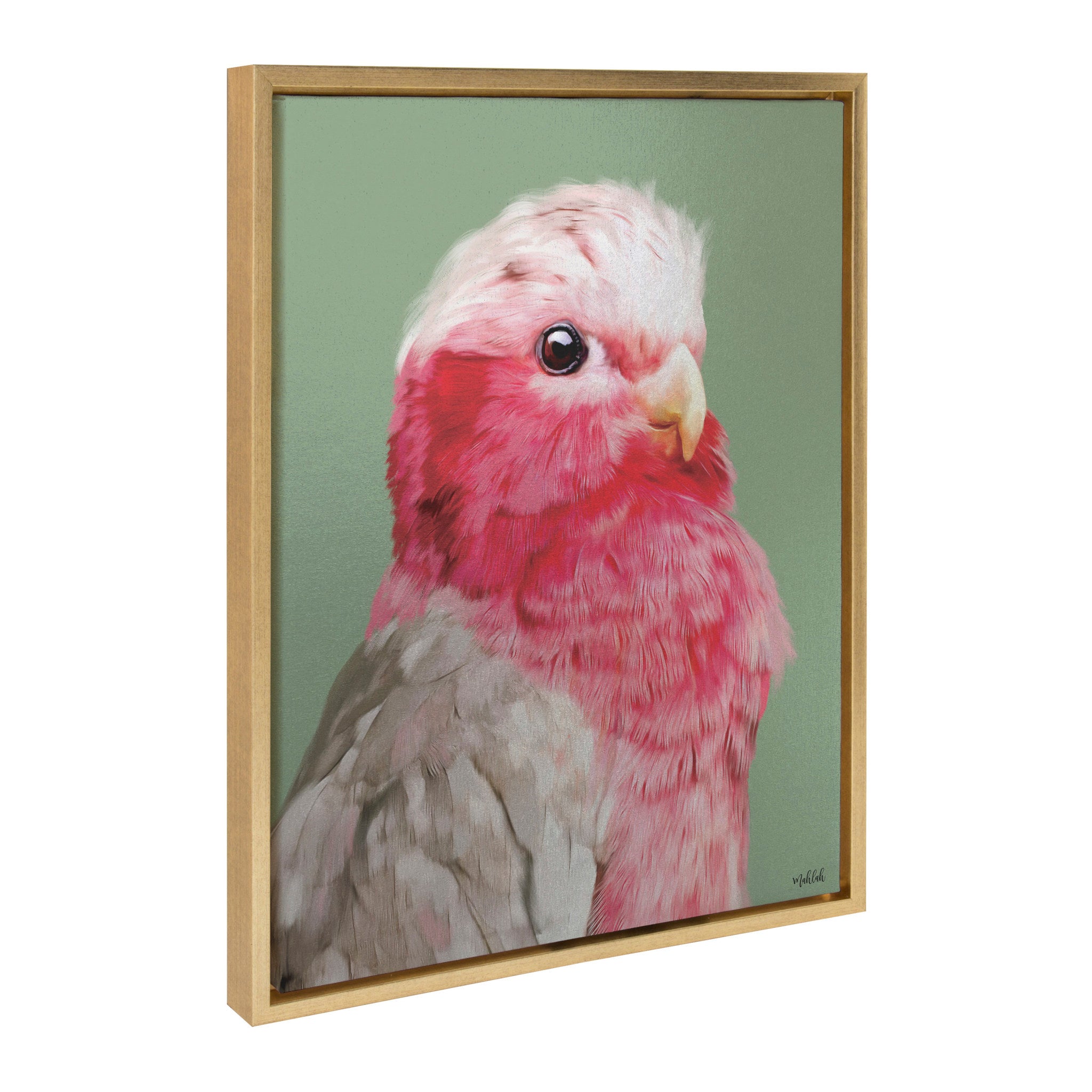 Sylvie Regal Galah Framed Canvas by Inkheart Designs