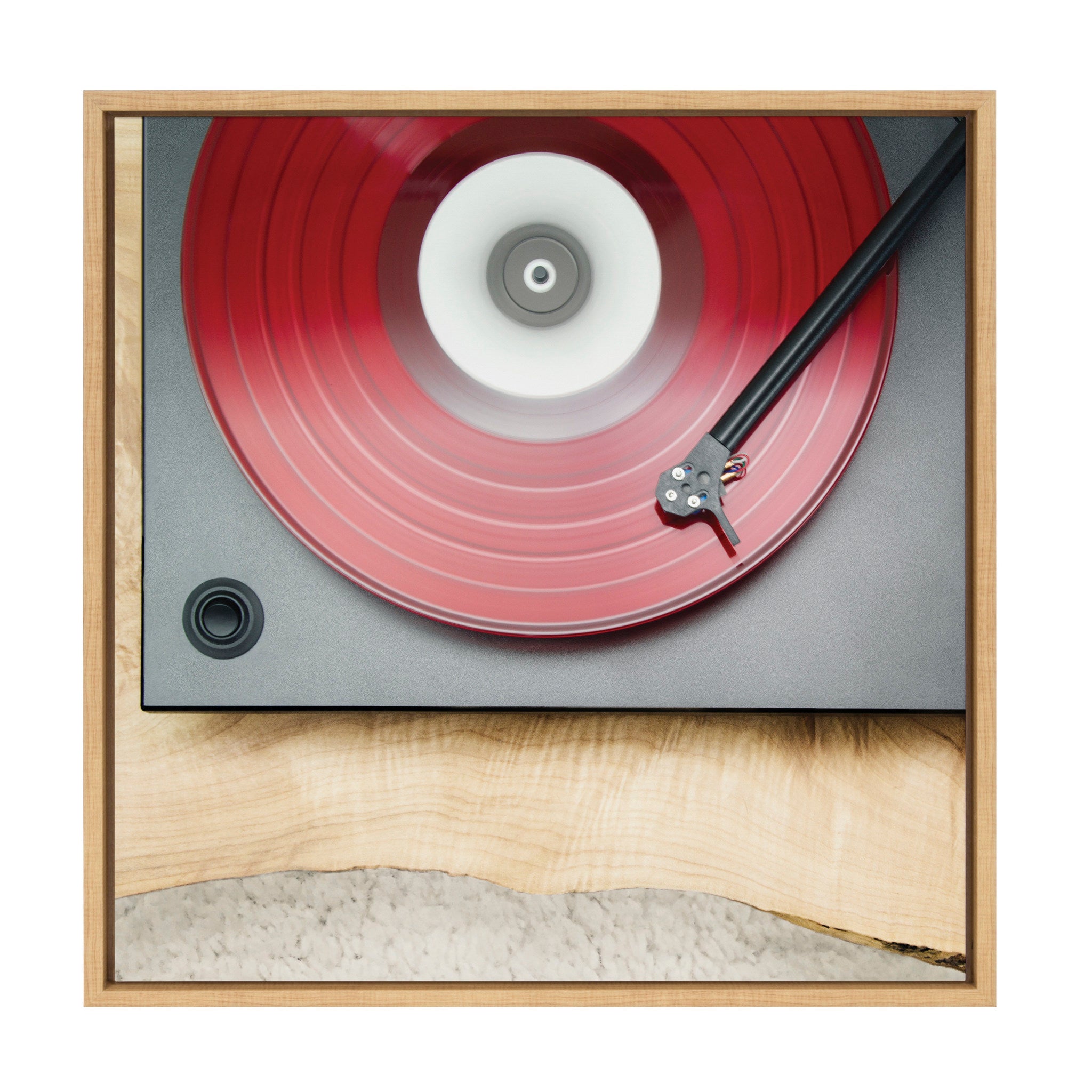 Sylvie Vinyl Vibes Color Framed Canvas by Emiko and Mark Franzen of F2Images