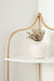 Accent Shelf White Gold 17x12x35 7