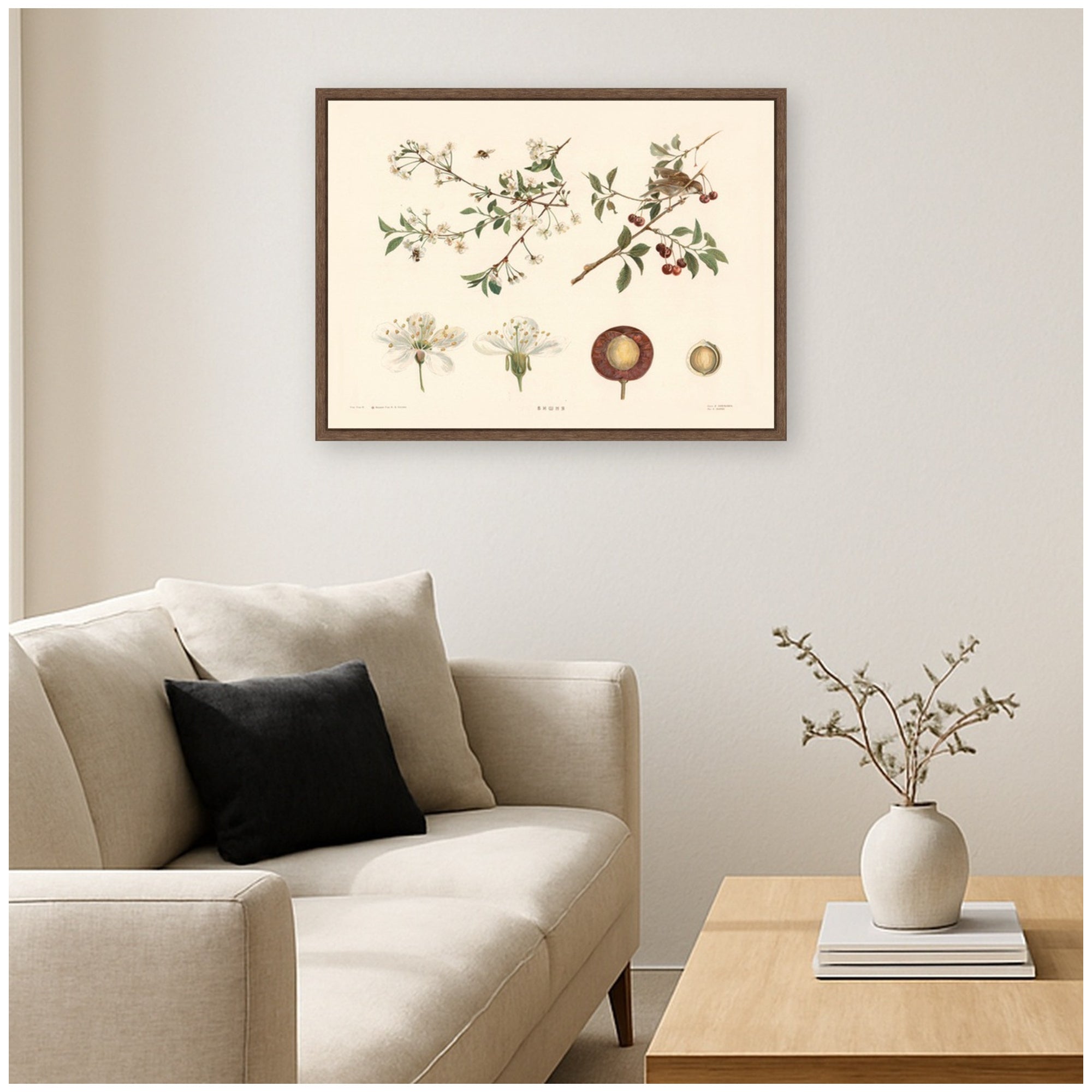 Framed Canvas 24x18 Sylvie Walnut 6