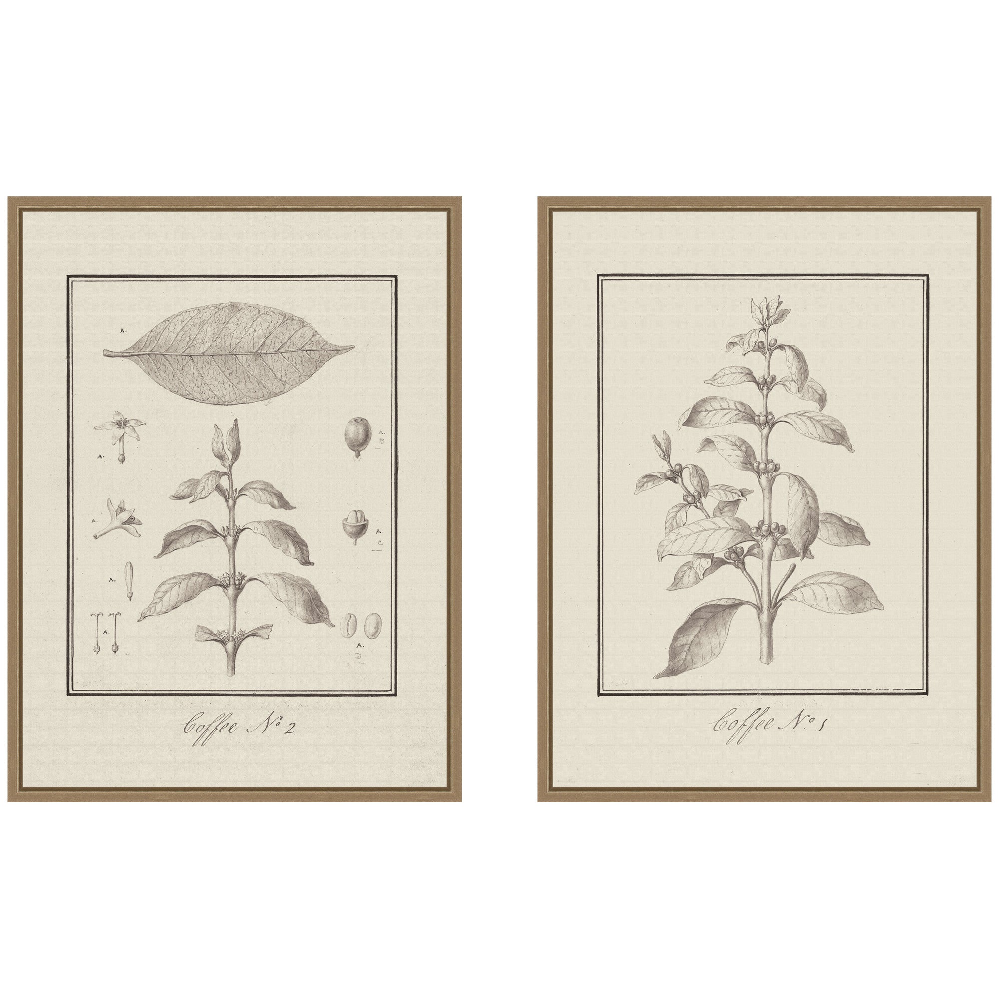 Art Set 2 Piece Set 18x24 Sylvie Dark Gold 1