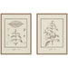 Art Set 2 Piece Set 18x24 Sylvie Dark Gold 1