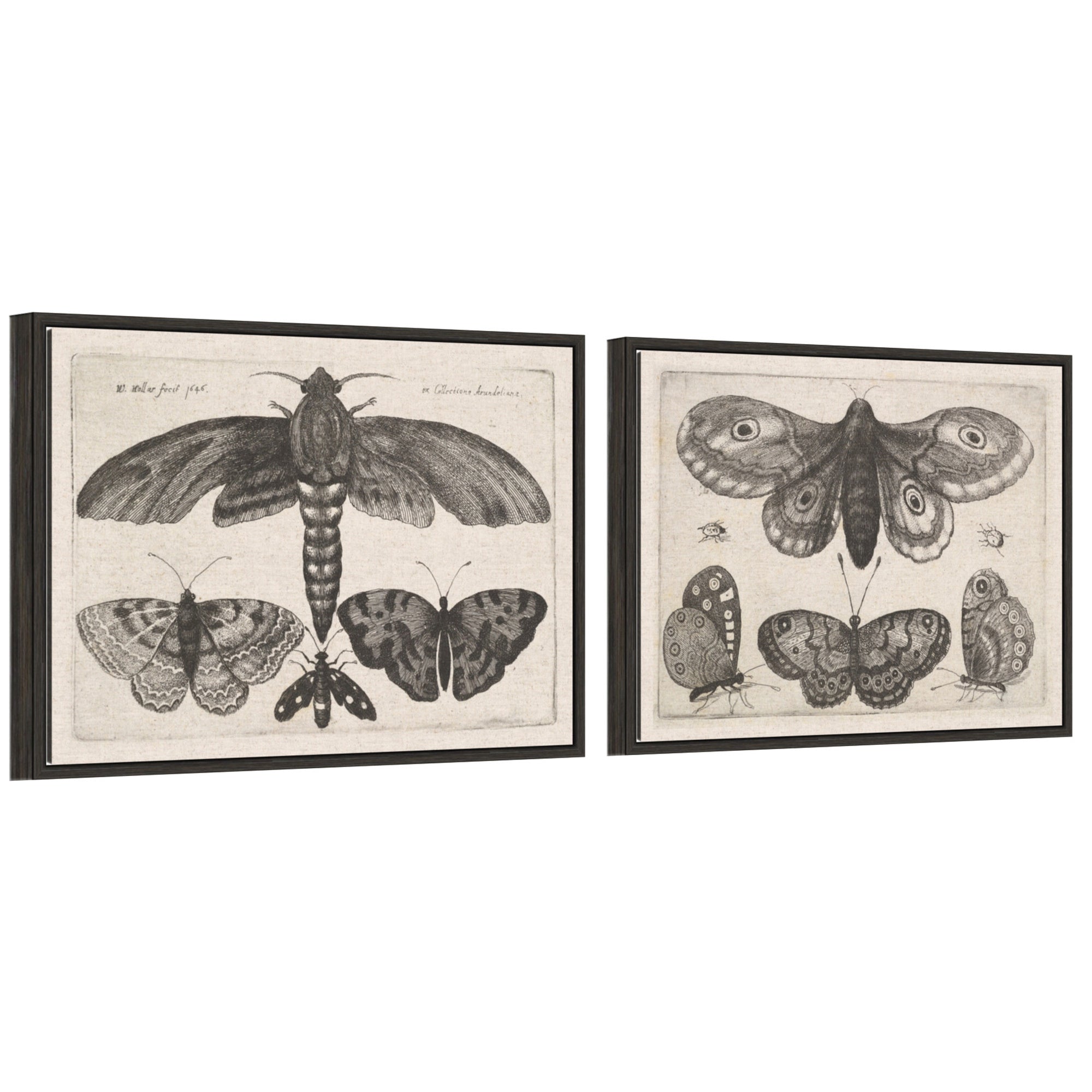 Art Set 2 Piece Set 18x24 Sylvie Dark Gray 1