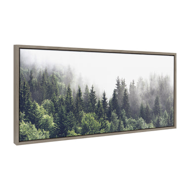 Framed Canvas Sylvie Graywash 18x40 2