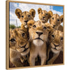 Funny Lion Selfie by The Creative Bunch Studio