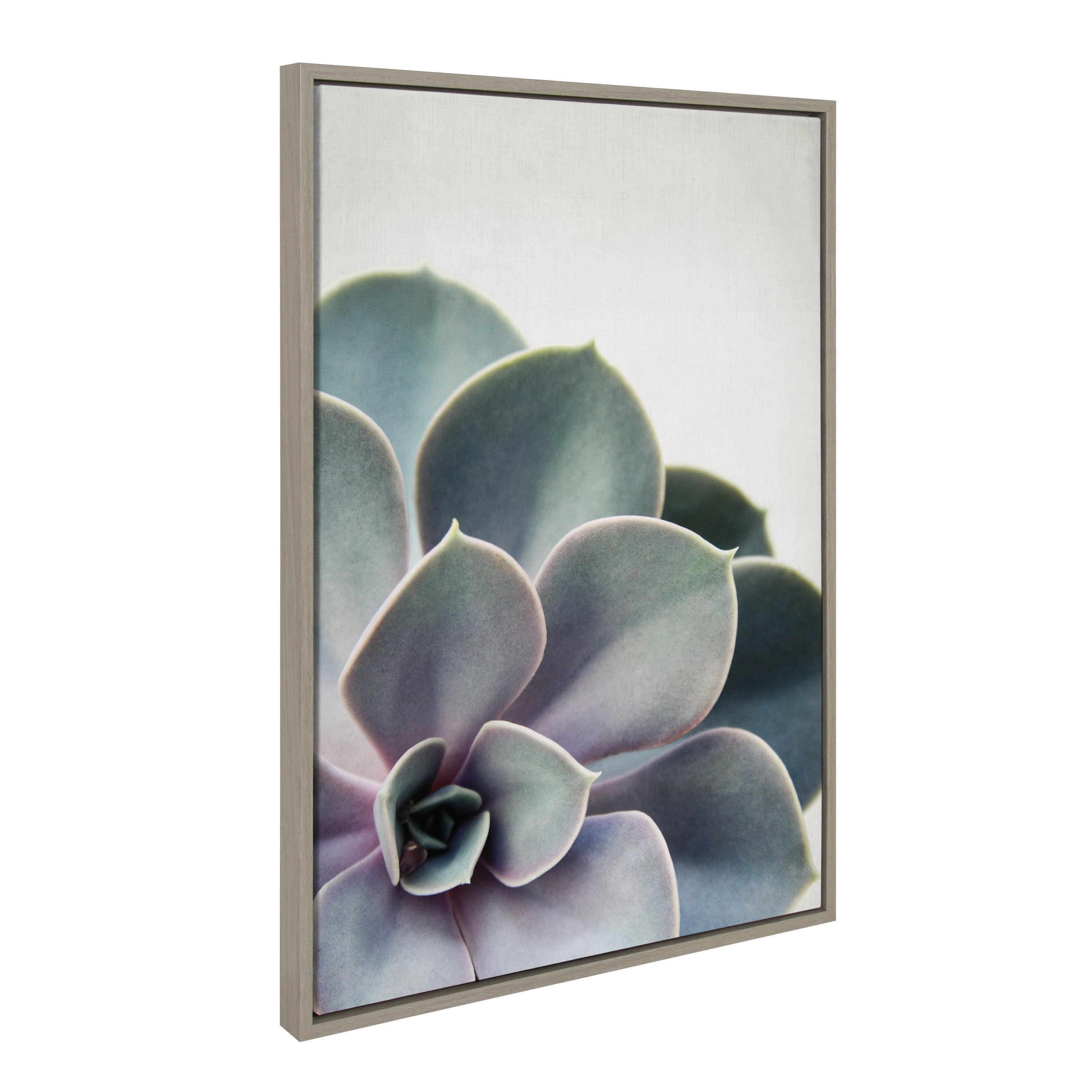 Framed Canvas Sylvie Graywash 23x33 2