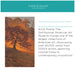 Framed Canvas 33x23 Sylvie Walnut 7