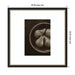 Framed Art 26x26 Belmont Black 2