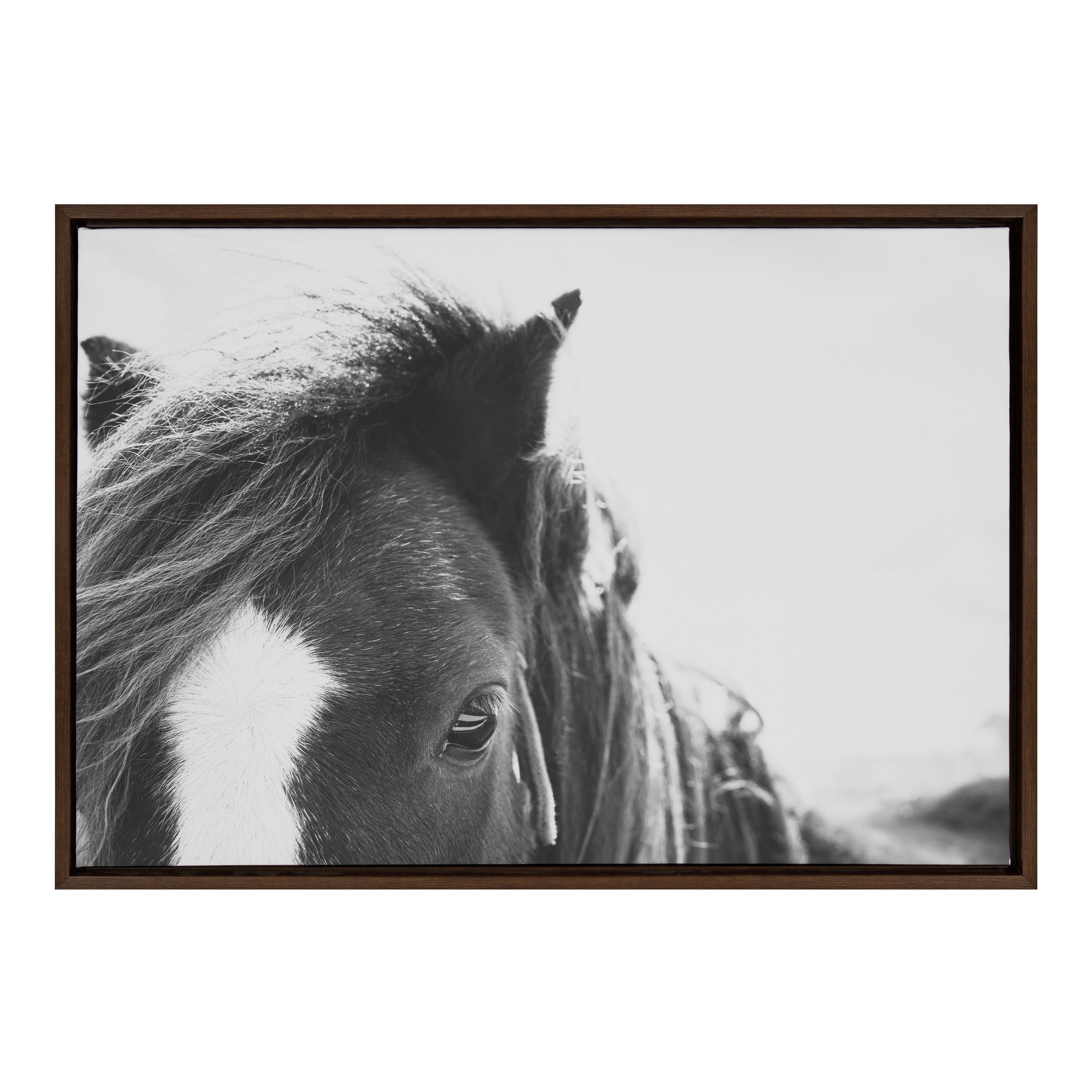 Framed Canvas 23x33 Sylvie Walnut 1