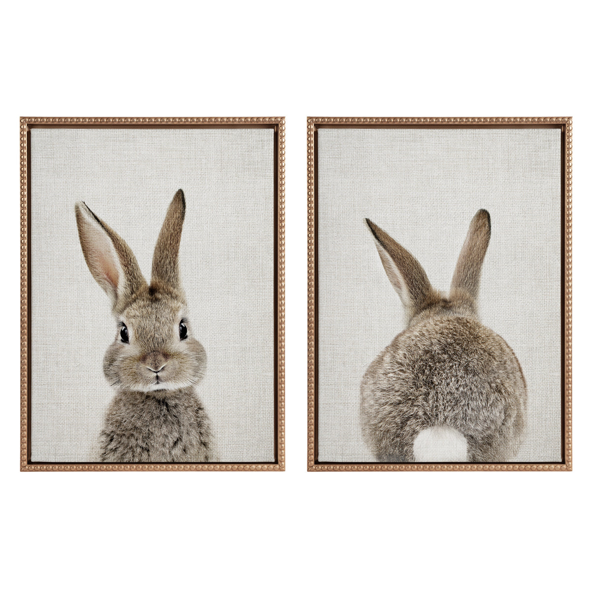 Sylvie Bunny Portrait and Bunny Tail Framed Canvas Art Set by Amy