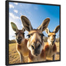 Funny Kangaroo Selfie by The Creative Bunch Studio