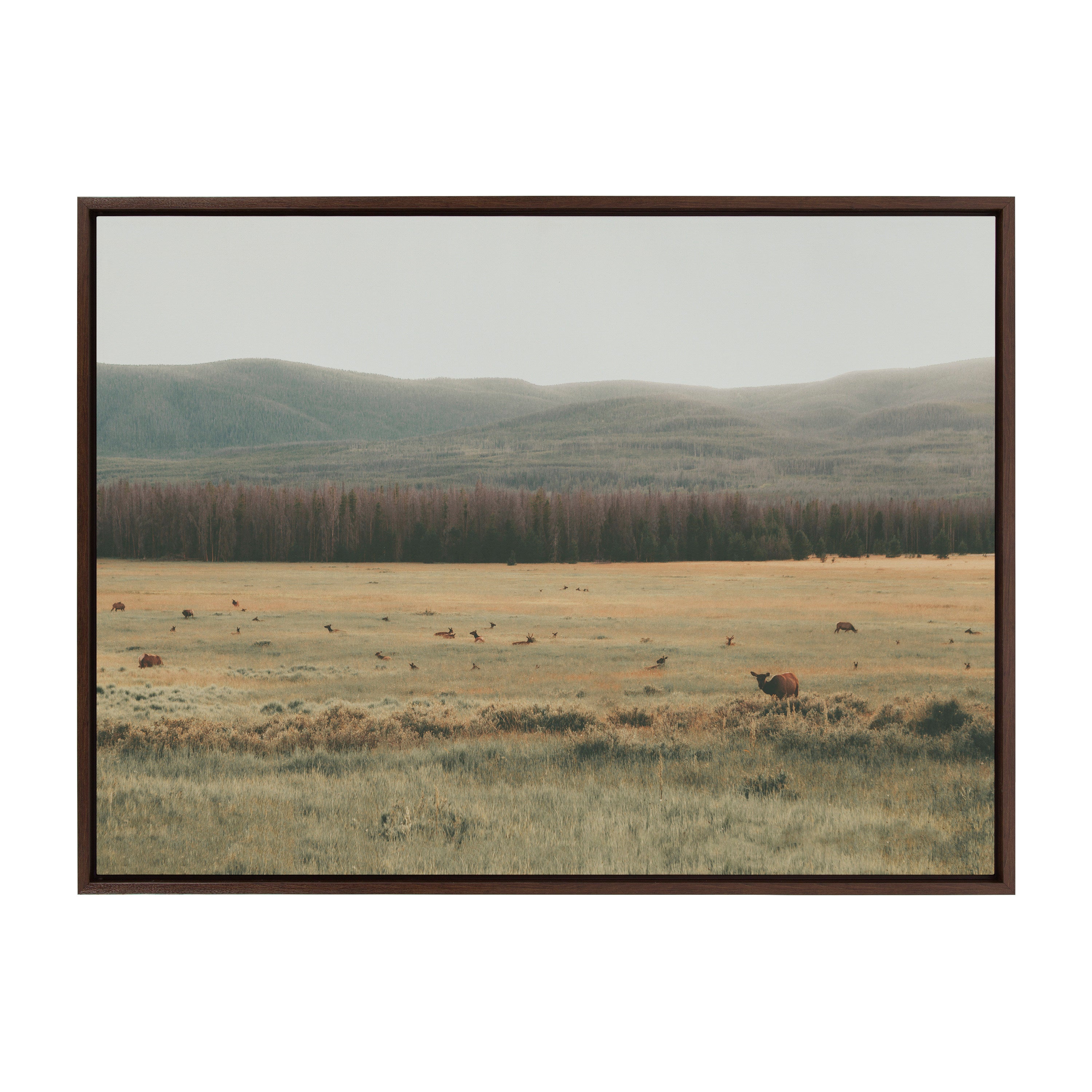 Sylvie AA On The Range Framed Canvas by Alicia Abla