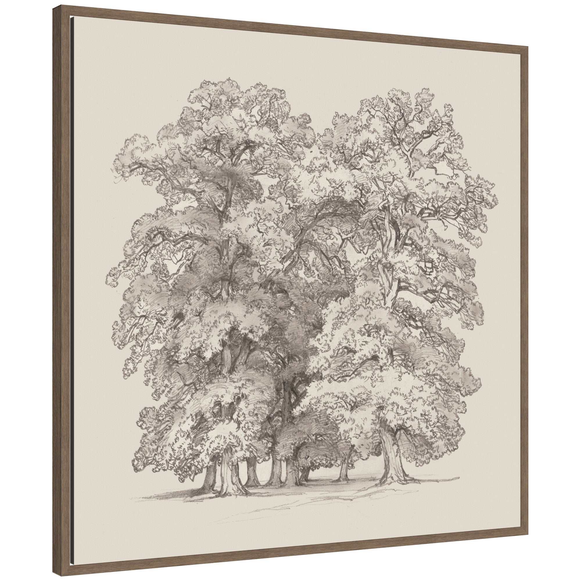 Framed Canvas 30 x 30 Sylvie Walnut 1