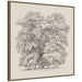 Framed Canvas 30 x 30 Sylvie Walnut 1