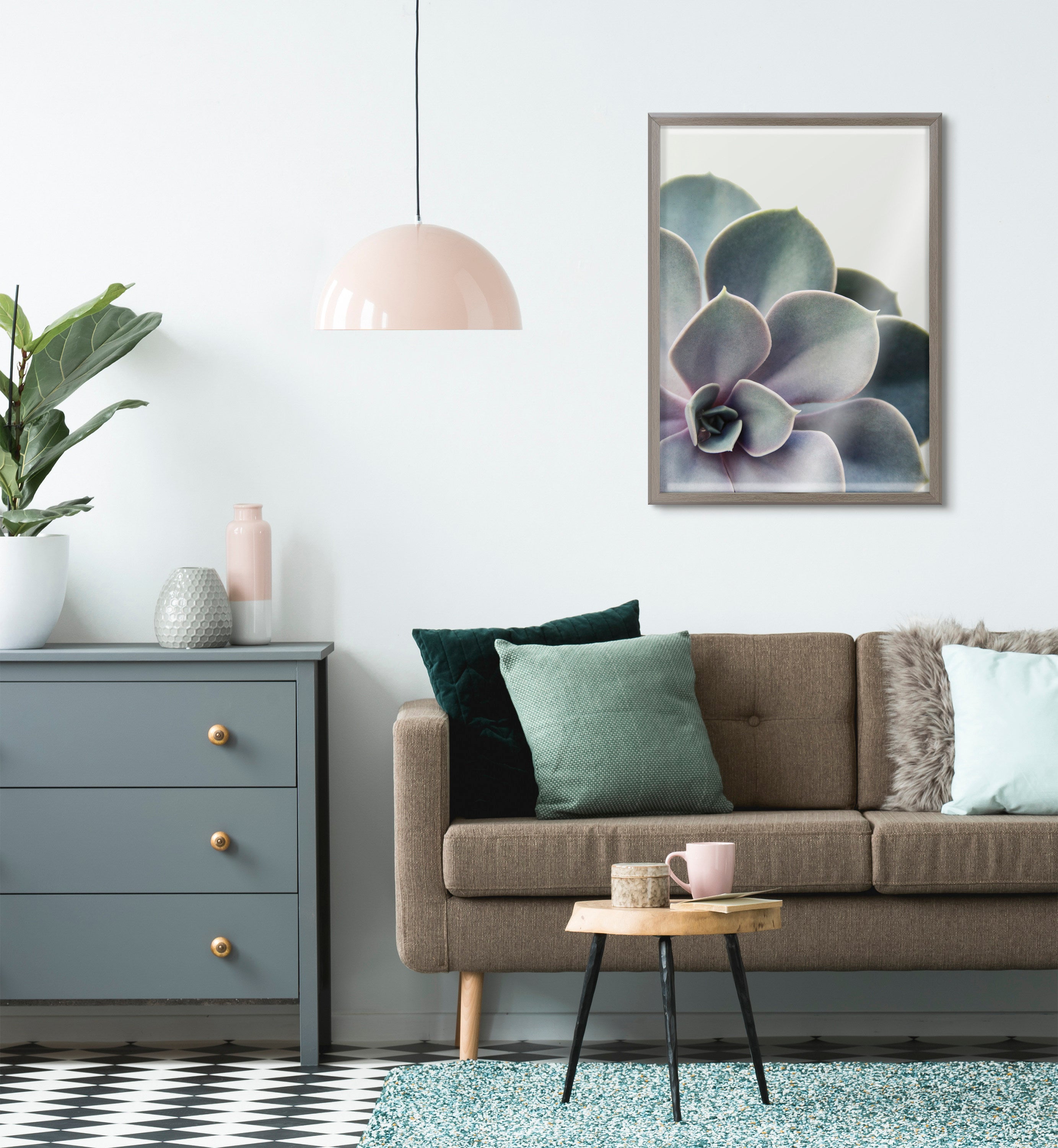 Blake Succulent 5 Framed Printed Glass by Emiko and Mark Franzen of F2Images