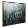 Sylvie Evergreen Dream 2 Framed Canvas by Emiko and Mark Franzen of F2Images