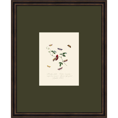 Framed Art 18x22 Dark Bronze Scoop 1