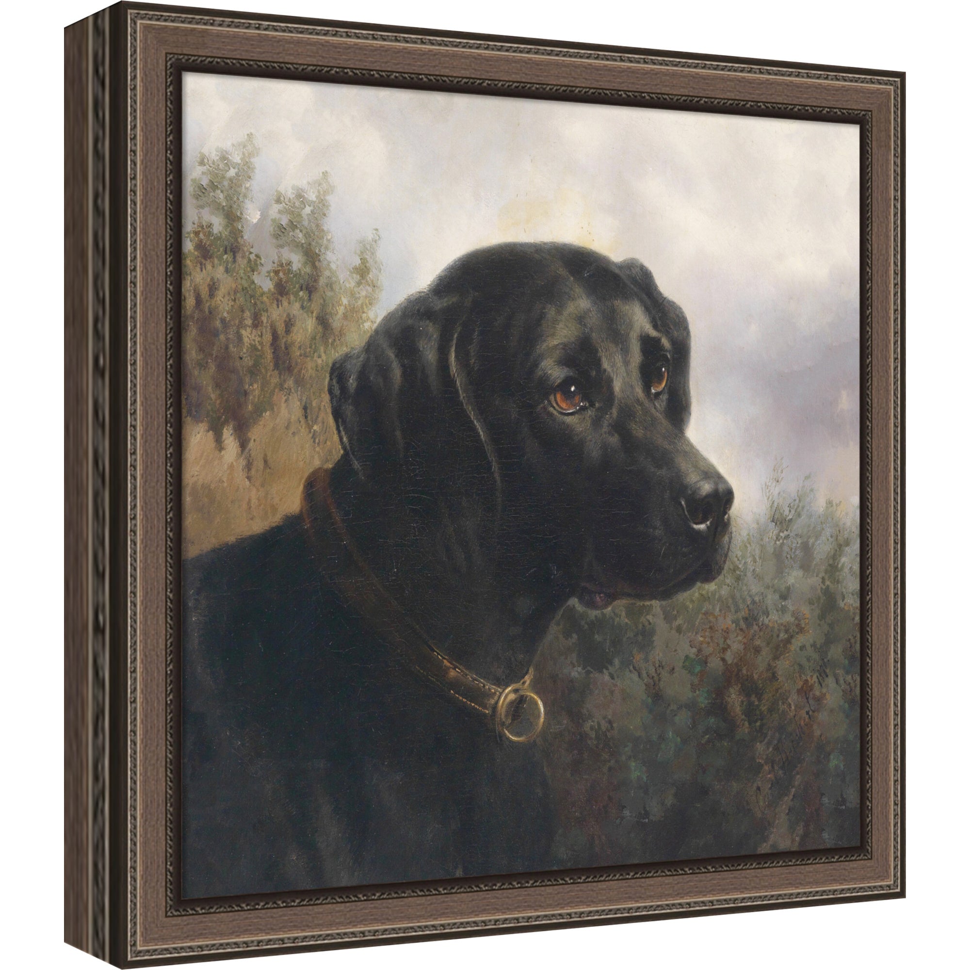Mounted Canvas 11 x 11 Cordelia Thin Bronze 1