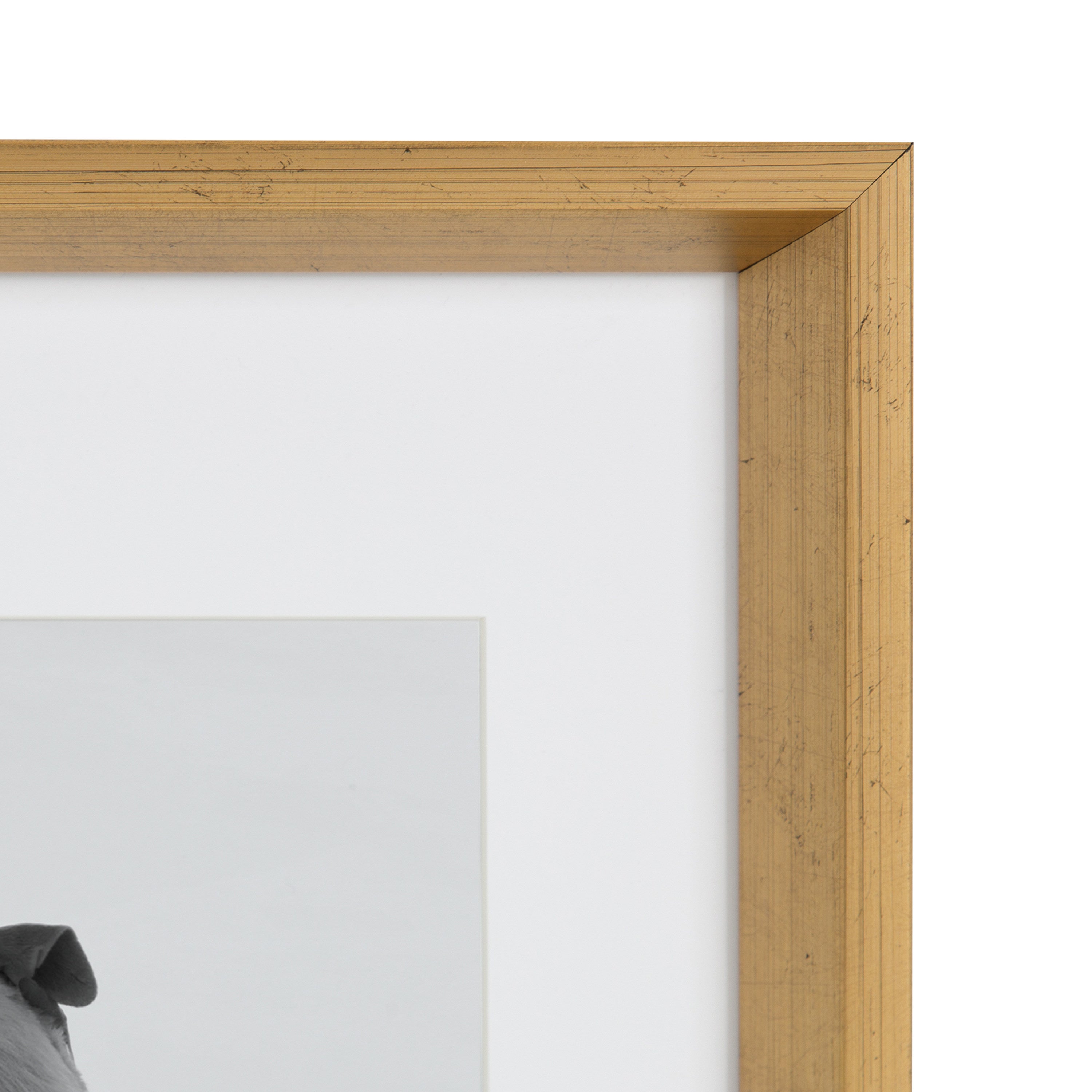 Wall Frame Gold 11x14 matted to 8x10 4